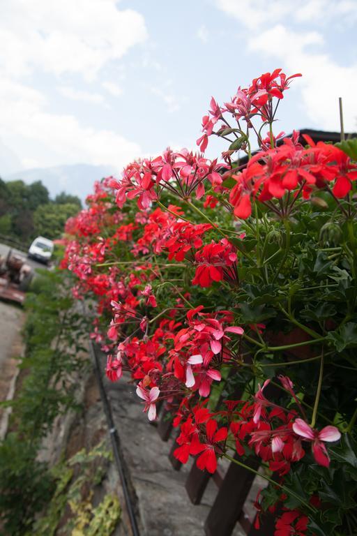 Agriturismo Al Castagneto Villa Mazzo di Valtellina Eksteriør bilde