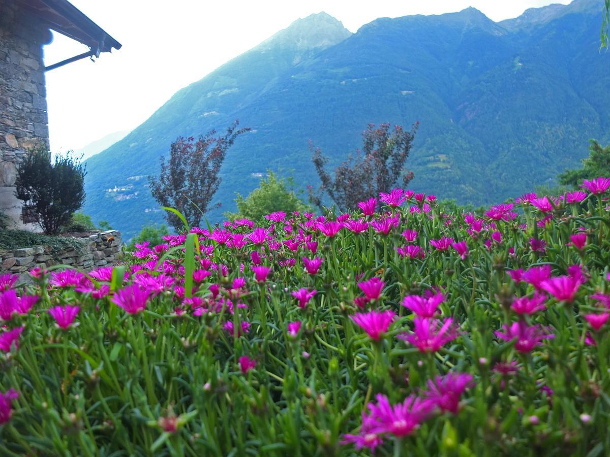 Agriturismo Al Castagneto Villa Mazzo di Valtellina Eksteriør bilde